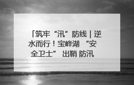 筑牢“汛”防线｜逆水而行！宝峰湖 “安全卫士” 出鞘 防汛应急再添硬核力量