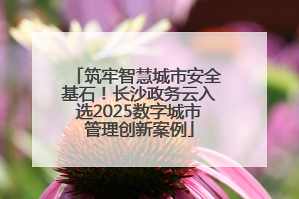 筑牢智慧城市安全基石！长沙政务云入选2025数字城市管理创新案例