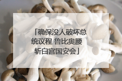 确保没人破坏总统议程 鲁比奥腰斩白宫国安会