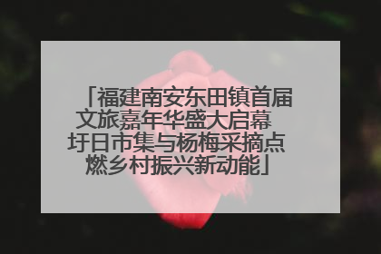 福建南安东田镇首届文旅嘉年华盛大启幕 圩日市集与杨梅采摘点燃乡村振兴新动能