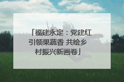 福建永定：党建红引领果蔬香 共绘乡村振兴新画卷
