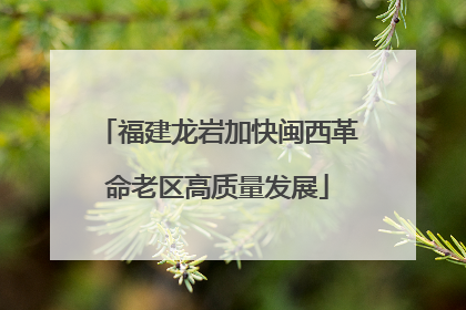 福建龙岩加快闽西革命老区高质量发展