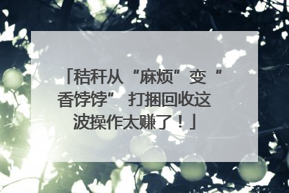 秸秆从“麻烦”变“香饽饽” 打捆回收这波操作太赚了！