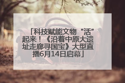 科技赋能文物“活”起来！《沿着中原大遗址走廊寻国宝》大型直播6月14日启幕