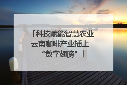 科技赋能智慧农业 云南咖啡产业插上“数字翅膀”