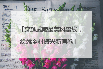 穿越武陵最美风景线，绘就乡村振兴新画卷