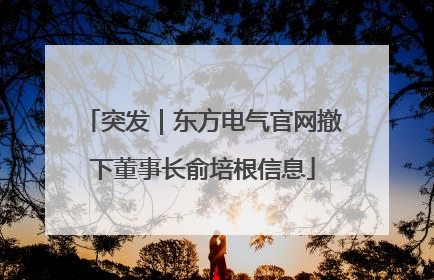 突发｜东方电气官网撤下董事长俞培根信息