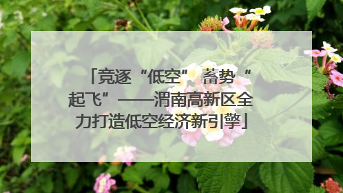竞逐“低空” 蓄势“起飞”——渭南高新区全力打造低空经济新引擎