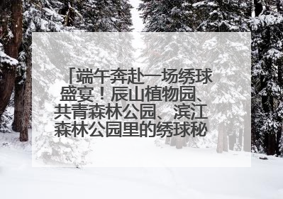 端午奔赴一场绣球盛宴！辰山植物园、共青森林公园、滨江森林公园里的绣球秘境在这里