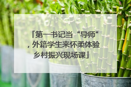 第一书记当“导师”，外籍学生来怀柔体验乡村振兴现场课