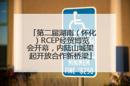 第二届湖南（怀化）RCEP经贸博览会开幕，内陆山城架起开放合作新桥梁