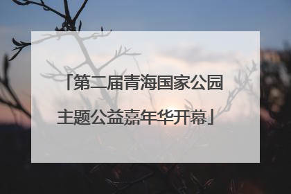 第二届青海国家公园主题公益嘉年华开幕