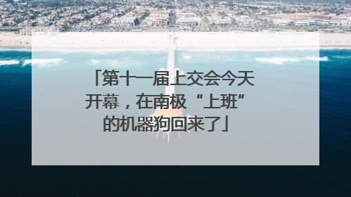 第十一届上交会今天开幕，在南极“上班”的机器狗回来了