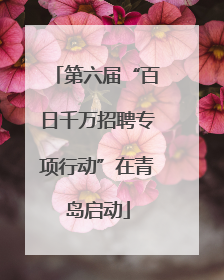 第六届“百日千万招聘专项行动”在青岛启动