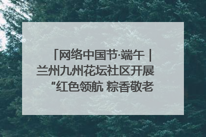 网络中国节·端午｜兰州九州花坛社区开展“红色领航 粽香敬老”端午主题活动