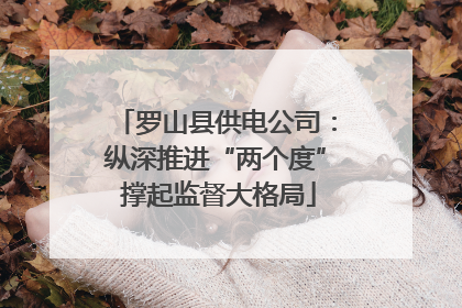 罗山县供电公司：纵深推进“两个度” 撑起监督大格局
