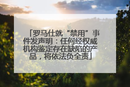 罗马仕就“禁用”事件发声明：任何经权威机构鉴定存在缺陷的产品，将依法负全责