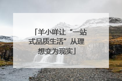 羊小咩让“一站式品质生活”从理想变为现实
