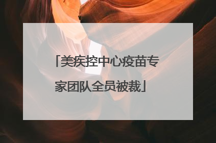 美疾控中心疫苗专家团队全员被裁