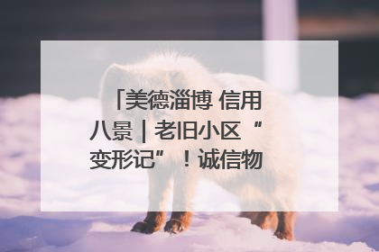 美德淄博 信用八景｜老旧小区“变形记”！诚信物业焐热居民心窝