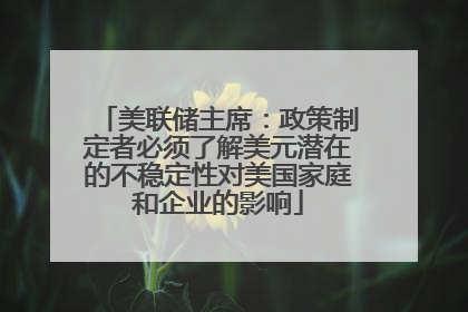美联储主席：政策制定者必须了解美元潜在的不稳定性对美国家庭和企业的影响