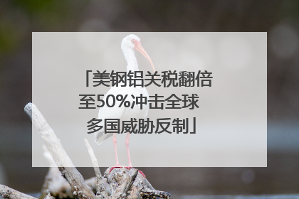 美钢铝关税翻倍至50%冲击全球 多国威胁反制