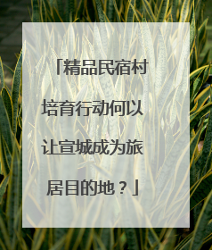 精品民宿村培育行动何以让宣城成为旅居目的地？