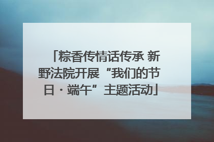 粽香传情话传承 新野法院开展“我们的节日・端午”主题活动