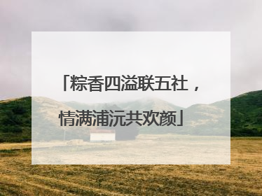 粽香四溢联五社，情满浦沅共欢颜