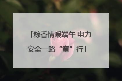 粽香情暖端午 电力安全一路“童”行