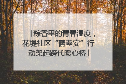 粽香里的青春温度，花堤社区“鹤耋安”行动架起跨代暖心桥