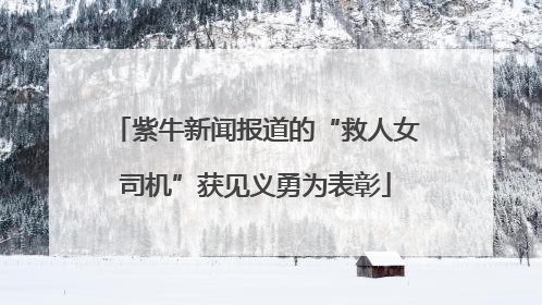 紫牛新闻报道的“救人女司机”获见义勇为表彰