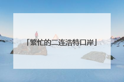 繁忙的二连浩特口岸
