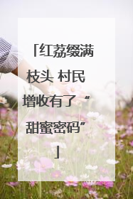 红荔缀满枝头 村民增收有了“甜蜜密码”