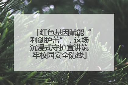 红色基因赋能“利剑护蕾”，这场沉浸式守护宣讲筑牢校园安全防线