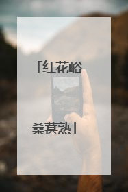 红花峪 桑葚熟