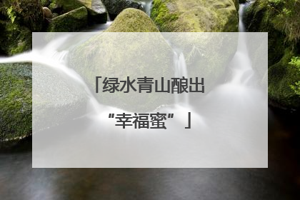绿水青山酿出“幸福蜜”