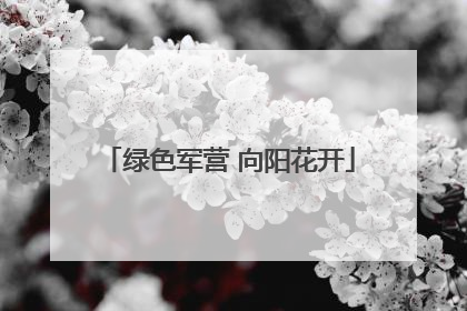 绿色军营 向阳花开