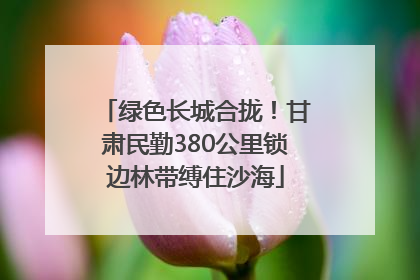 绿色长城合拢！甘肃民勤380公里锁边林带缚住沙海