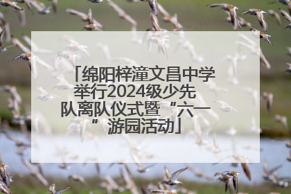 绵阳梓潼文昌中学举行2024级少先队离队仪式暨“六一”游园活动