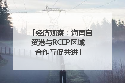 经济观察：海南自贸港与RCEP区域合作互促共进