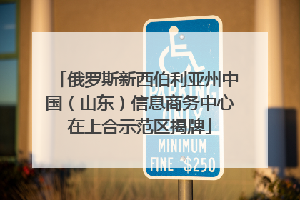 俄罗斯新西伯利亚州中国（山东）信息商务中心在上合示范区揭牌