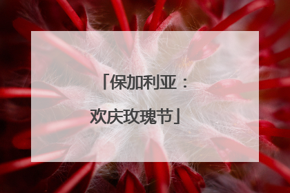 保加利亚：欢庆玫瑰节