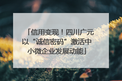 信用变现！四川广元以“诚信密码”激活中小微企业发展动能