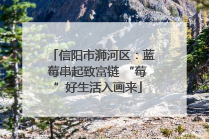 信阳市浉河区：蓝莓串起致富链 “莓”好生活入画来