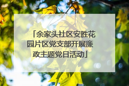 余家头社区安胜花园片区党支部开展廉政主题党日活动