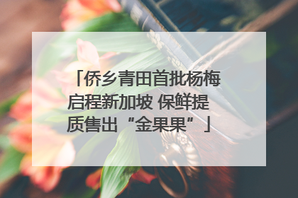 侨乡青田首批杨梅启程新加坡 保鲜提质售出“金果果”