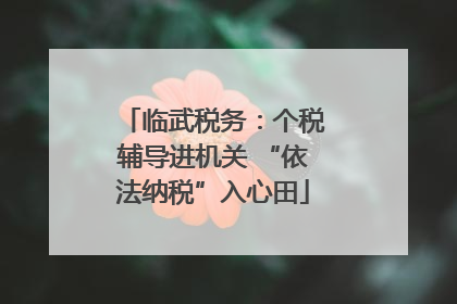 临武税务：个税辅导进机关 “依法纳税”入心田