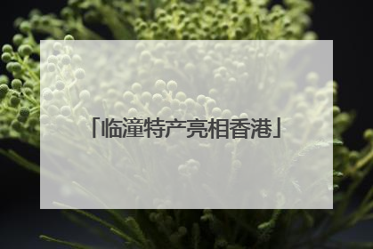临潼特产亮相香港