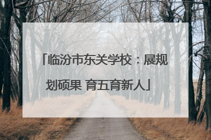 临汾市东关学校：展规划硕果 育五育新人